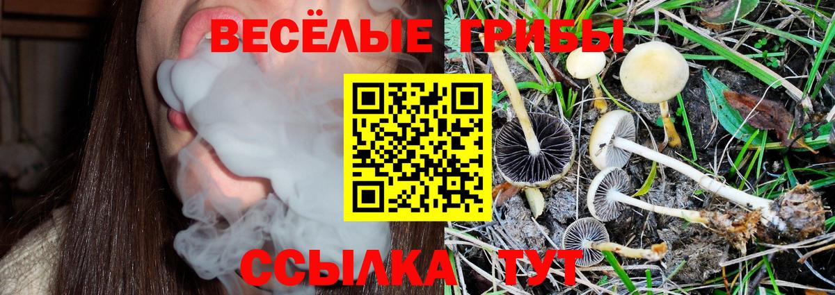 Псилоцибиновые грибы ЛСД Дербент