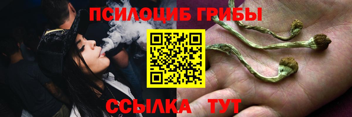 Псилоцибиновые грибы MAGIC MUSHROOMS  Вход с VPN  Дербент 